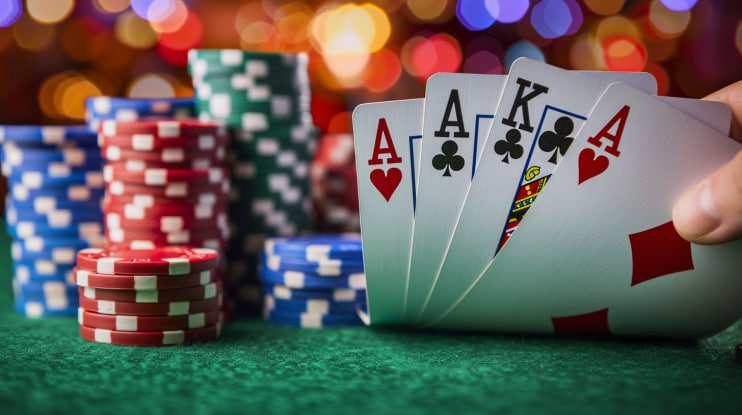 tk3666 bet